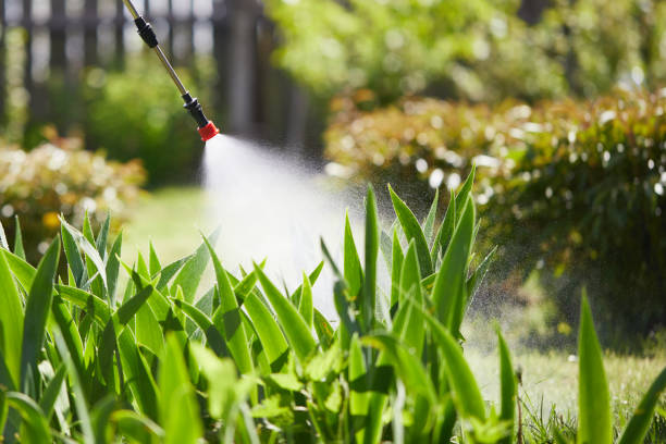 24/7 Emergency Wasp Removal experts in Brookdale, SC