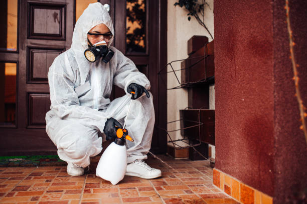 Reliable Wasp Removal contractor in Brookdale, SC by Show Me Pest Control